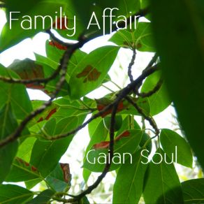 Gaian Soul album cover