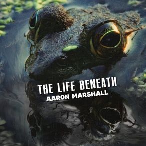 The Life Beneath album cover