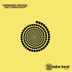 Only Vibration album cover