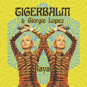 Nayar album cover
