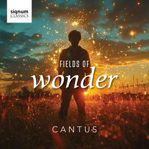 Fields Of Wonder album cover