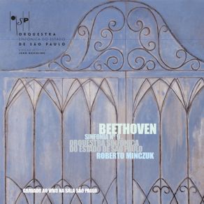 Beethoven: Sinfonia No. 9 Em Ré Menor Op. 125 (Ao Vivo) album cover