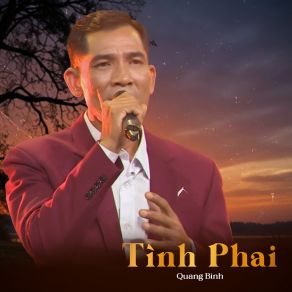 Tình Phai album cover