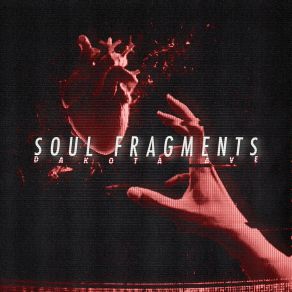 Soul Fragments album cover