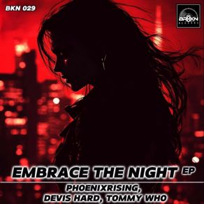 Embrace The Night album cover
