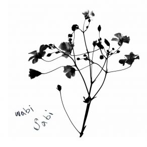 Wabi Sabi album cover