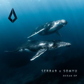 Ocean album cover