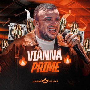 Vianna Prime album cover