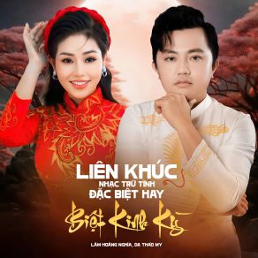 Liên Khúc Nhạc Trữ Tình Đặc Biệt Hay / Biệt Kinh Kỳ album cover