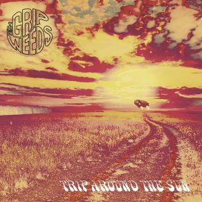 Trip Around The Sun album cover