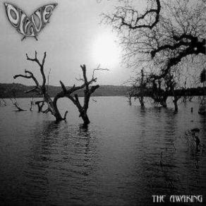 The Awaking album cover