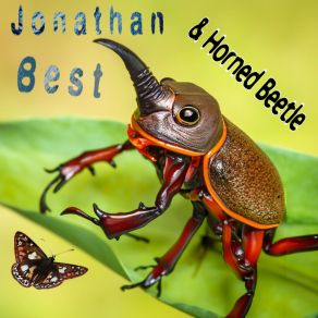 Horned Beetle album cover