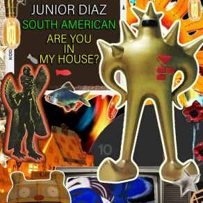 South American - Are You In My House? album cover