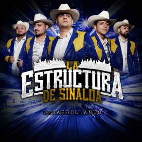 Desarrollando (En Vivo) album cover