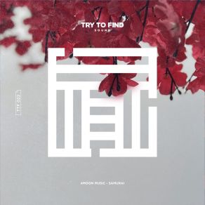 Samurai album cover