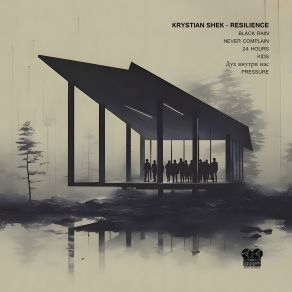 Resilience album cover