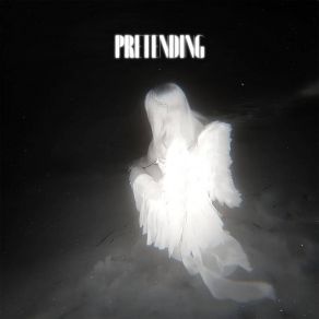 Pretending album cover