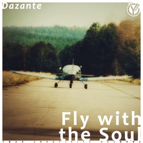 Fly With The Soul (Original Mix) album cover