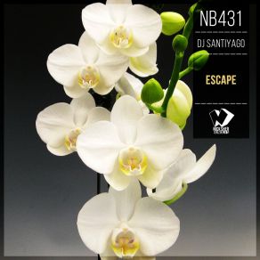 Escape (Original Mix) album cover