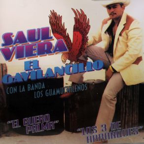 Con La Banda Los Guamuchileños, El Guero Palma, Los 3 De Arranques album cover