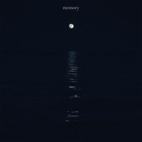Memory album cover