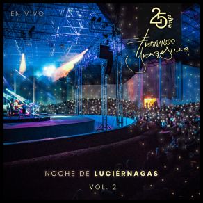 Noche De Luciérnagas, Vol. 2 (25 Años) album cover