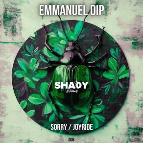 Sorry / Joyride album cover