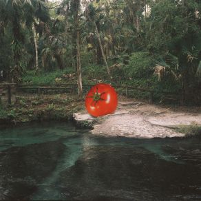 I Just Can't Wait To Die album cover
