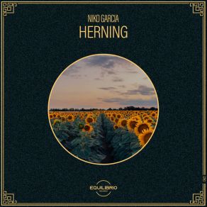 Herning album cover