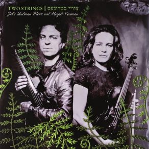 Two Strings album cover