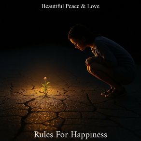 Rules For Happiness album cover