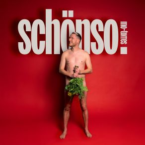 Schönso album cover