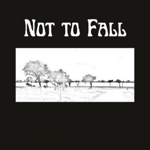 Not To Fall album cover