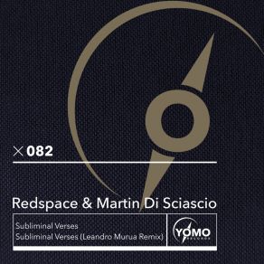 Subliminal Verses album cover