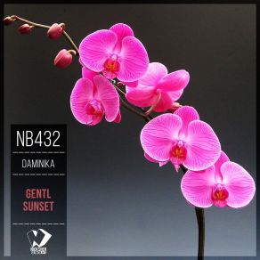 Gentl Sunset (Original Mix) album cover