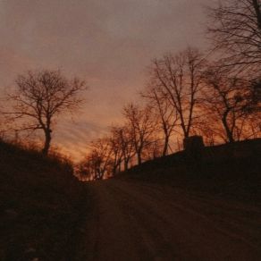 Inside album cover