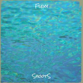 Flexy album cover