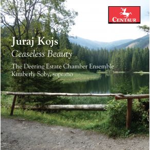 Juraj Kojs: Ceaseless Beauty album cover