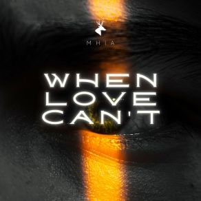 When Love Can't album cover
