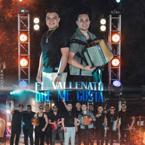 El Vallenato Que Me Gusta (En Vivo) album cover