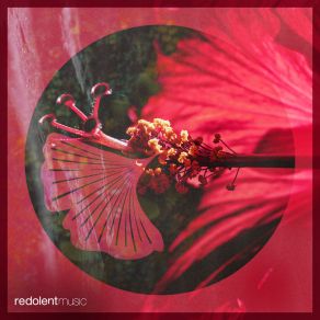 Prado's Revenge (Aaron Sevilla Remix) album cover