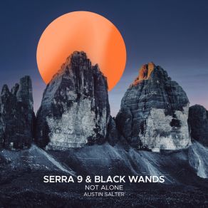 Not Alone album cover