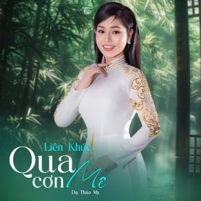 Liên Khúc / Qua Cơn Mê (Duet Tone Nam) album cover