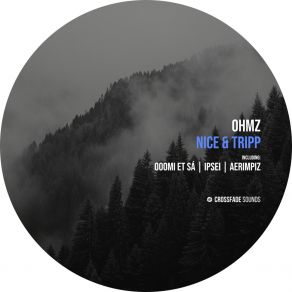 Nice & Tripp album cover