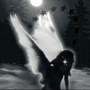 Fallenangel album cover
