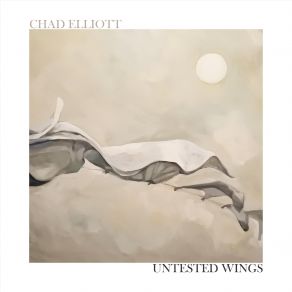 Untested Wings album cover