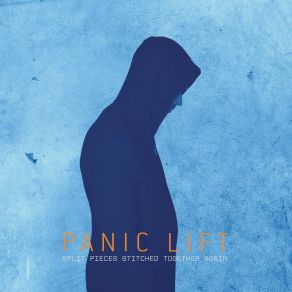 Split Pieces Stitched Together Again album cover