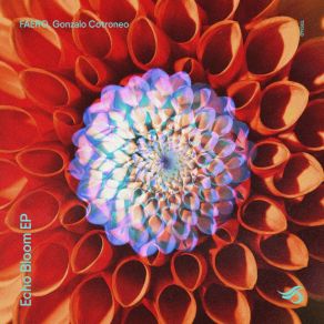Echo Bloom album cover