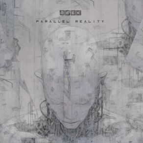 Parallel Reality album cover