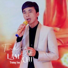 Tình Đẹp Làm Chi # 1 album cover